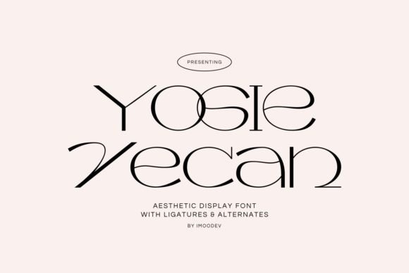 A Skinny Display Font That Refines Web Layouts
