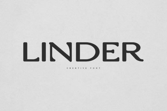 Linder Display Font: A Practical Branding Asset for Your Business